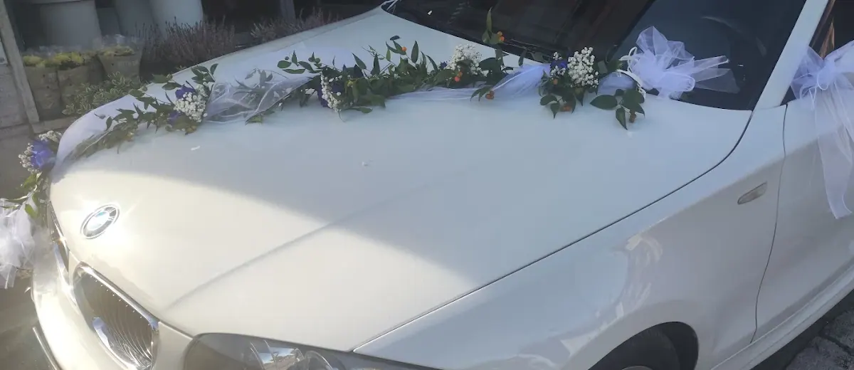 Ghirlanda di foglie, gypsophila e fiori blu con tulle bianco sul cofano di un'auto