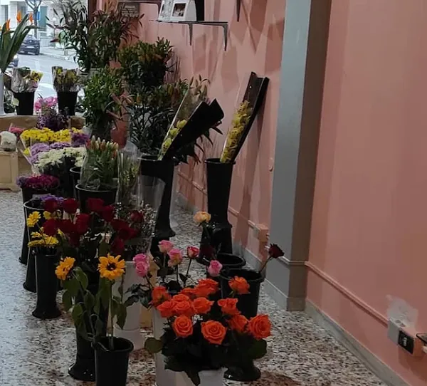 Rose arancio, girasoli e piante nella sede di Via Roma